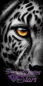 Preview: Goldblick-by-Artemya